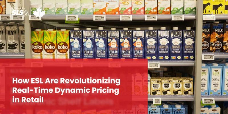 how esl are revolutionizing real time dynamic pricing in retail gecolencom